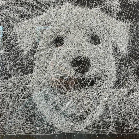 Woven Bonds: Custom String Art Portrait